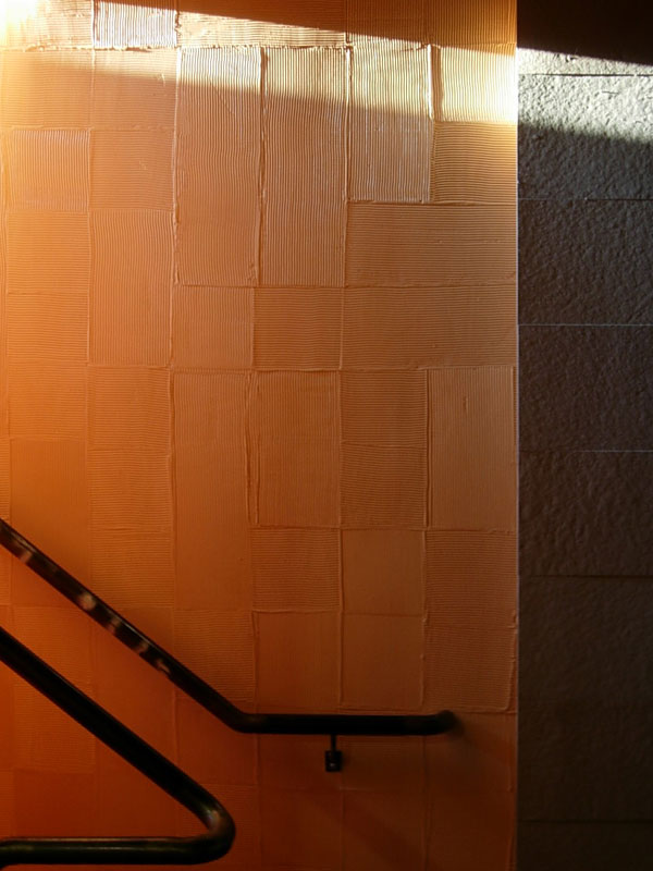 intrinsik architecture