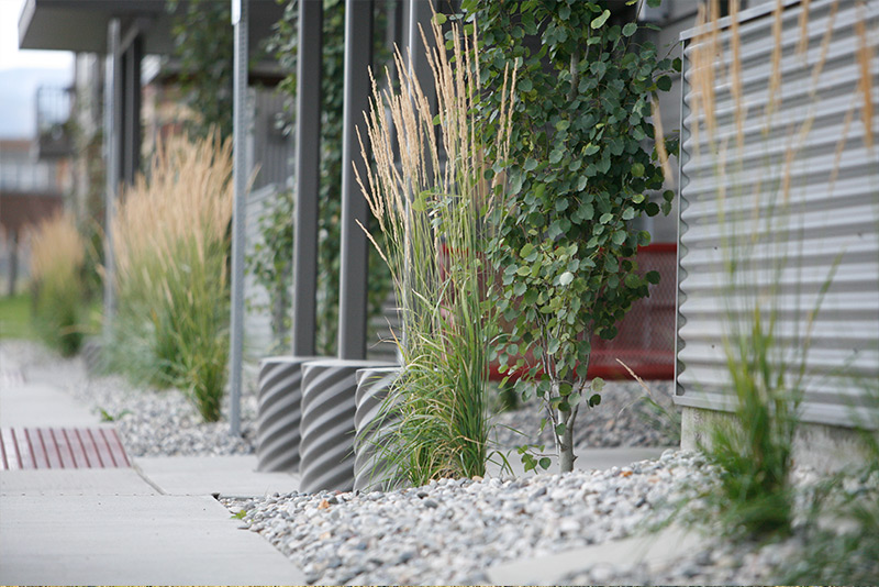 west edge affordable housing