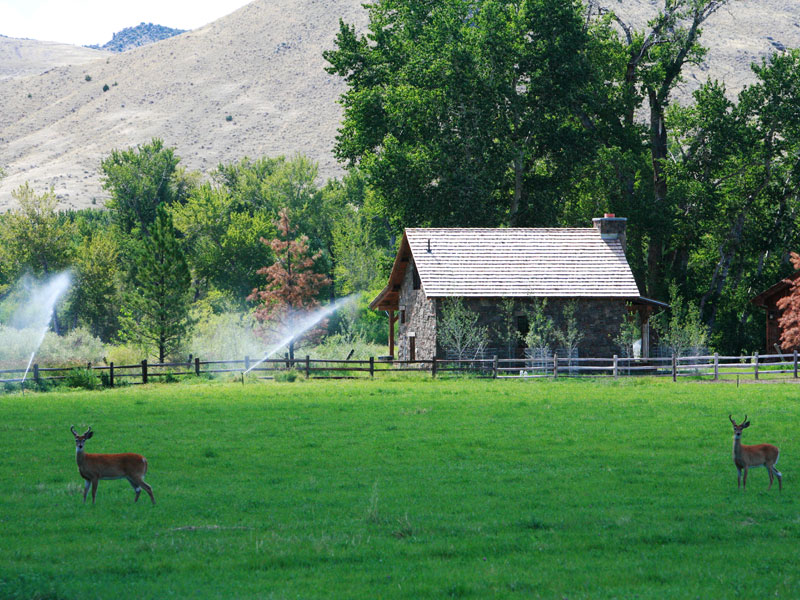 Big Hole Ranch & Guest Cabin